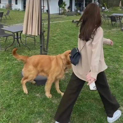 全员单恋中